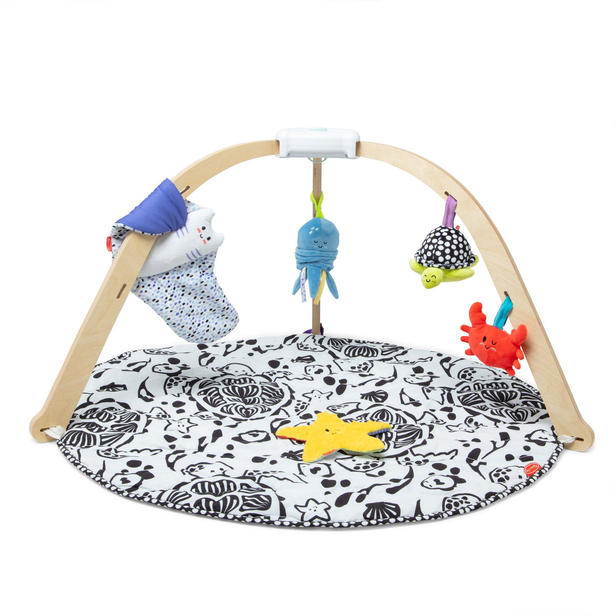 Melissa and Doug Ocean Easy-Fold Play Gym