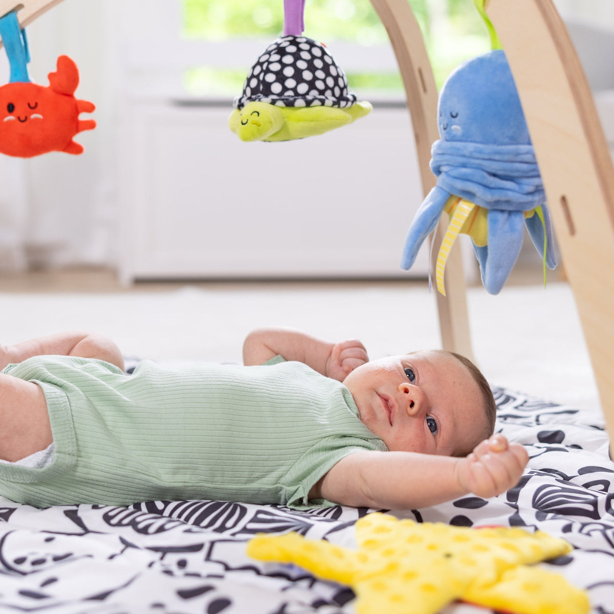 Melissa and Doug Ocean Easy-Fold Play Gym
