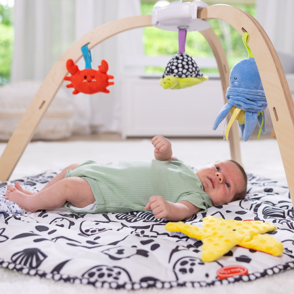 Melissa and Doug Ocean Easy-Fold Play Gym